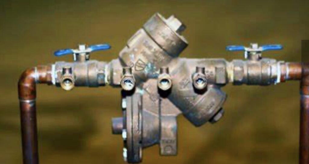 Backflow preventer with shutoff valves